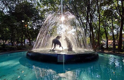 Coyoacán